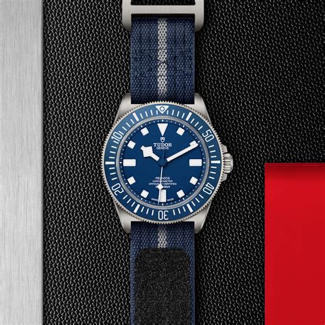 tudor pelagos.|tudor pelagos bezel.